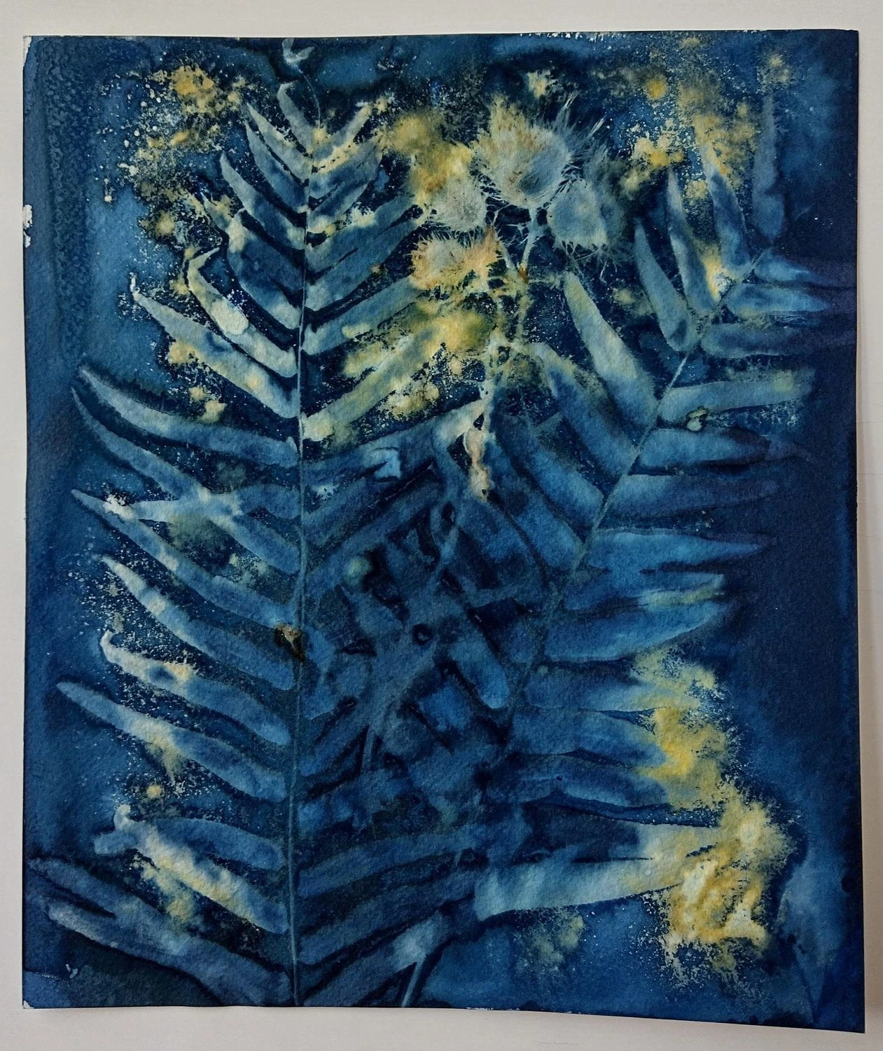 Cyanotype artwork by Matilde Canepa Gonzalez, showing textured fern fronds in shades of deep Prussian blue and light blue, accented with delicate botanical clusters and shimmery gold dust detailing.