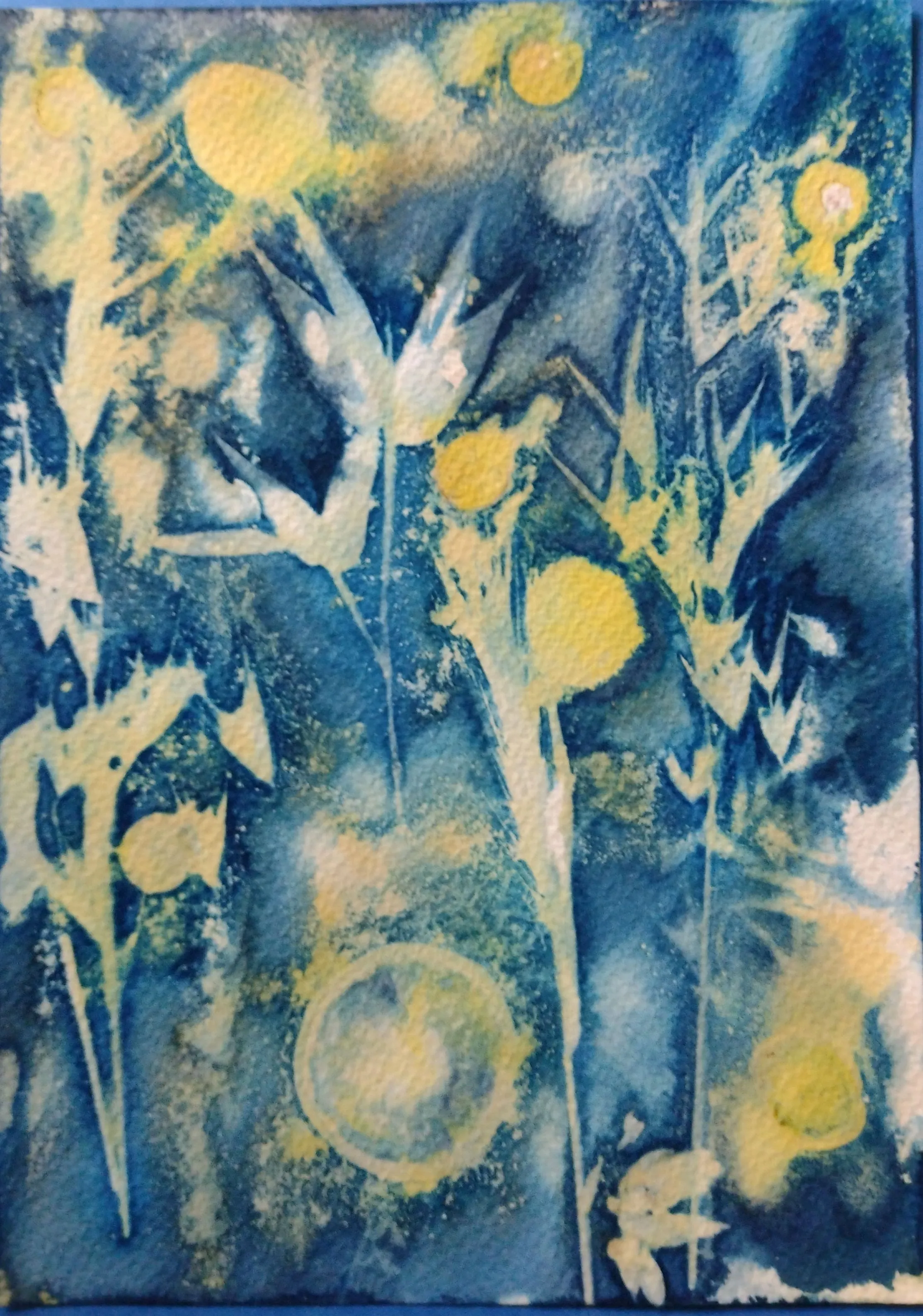Cyanotype plants and turmeric effect