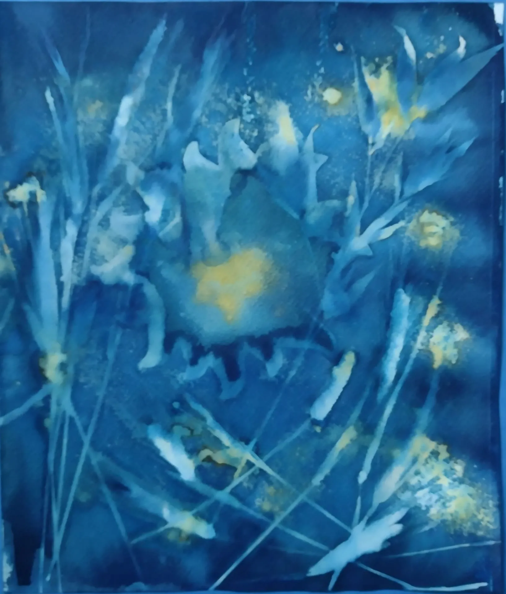 Cyanotype in deep organic blue tones