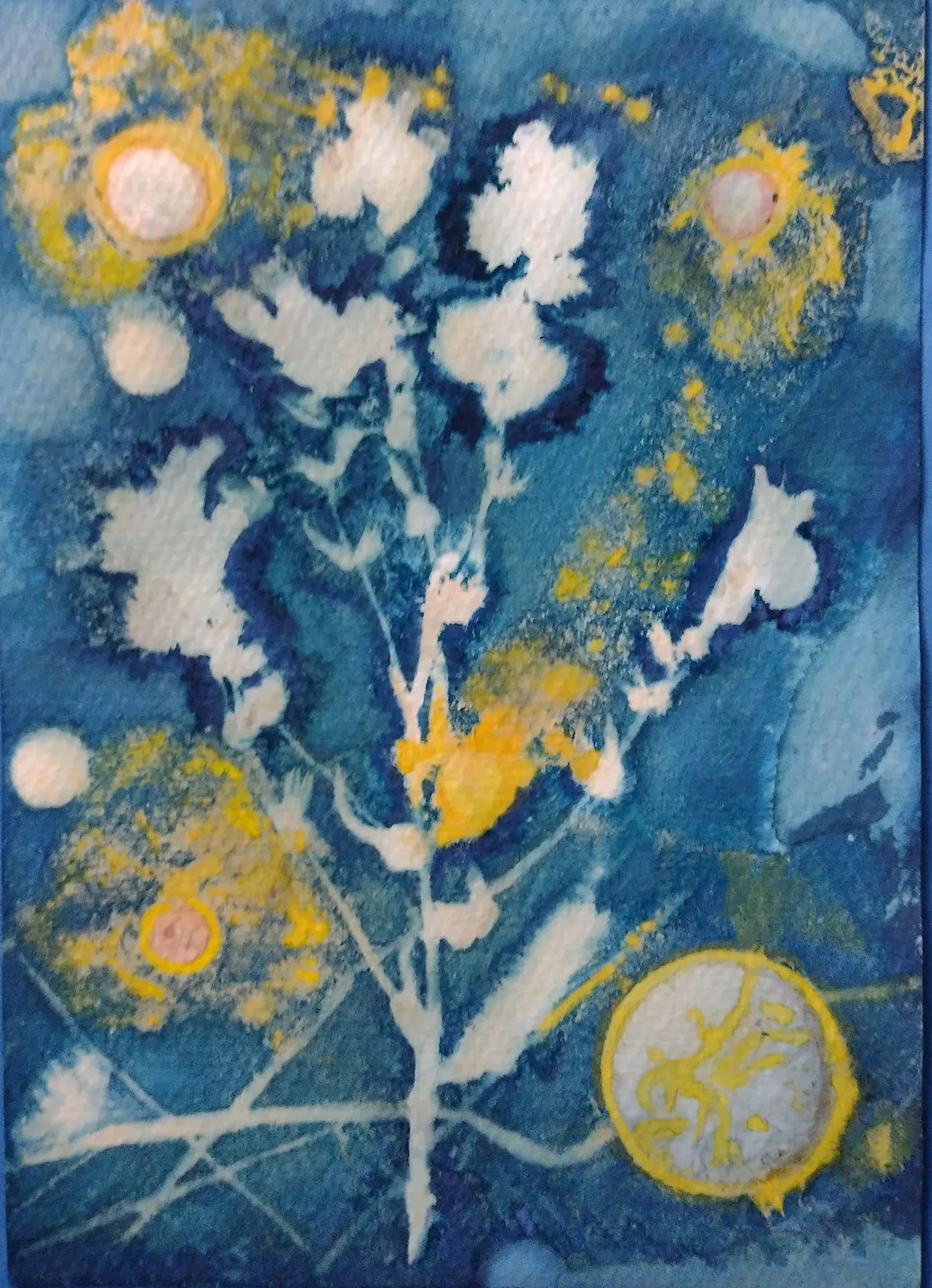 Organic cyanotype in deep blue with yellow sunspots