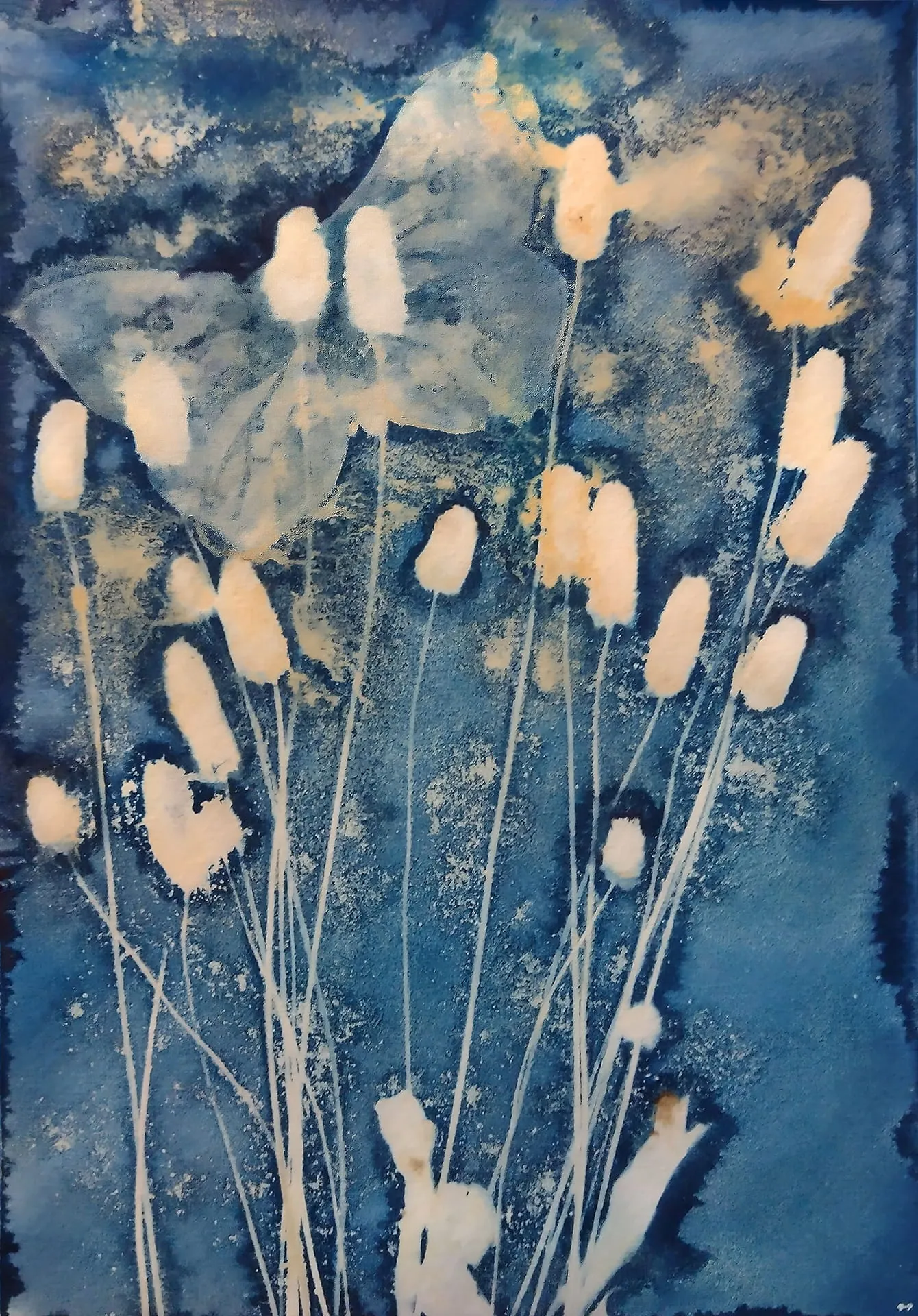 Cyanotype print of delicate grasses and the silhouette of a butterfly on a blue background.