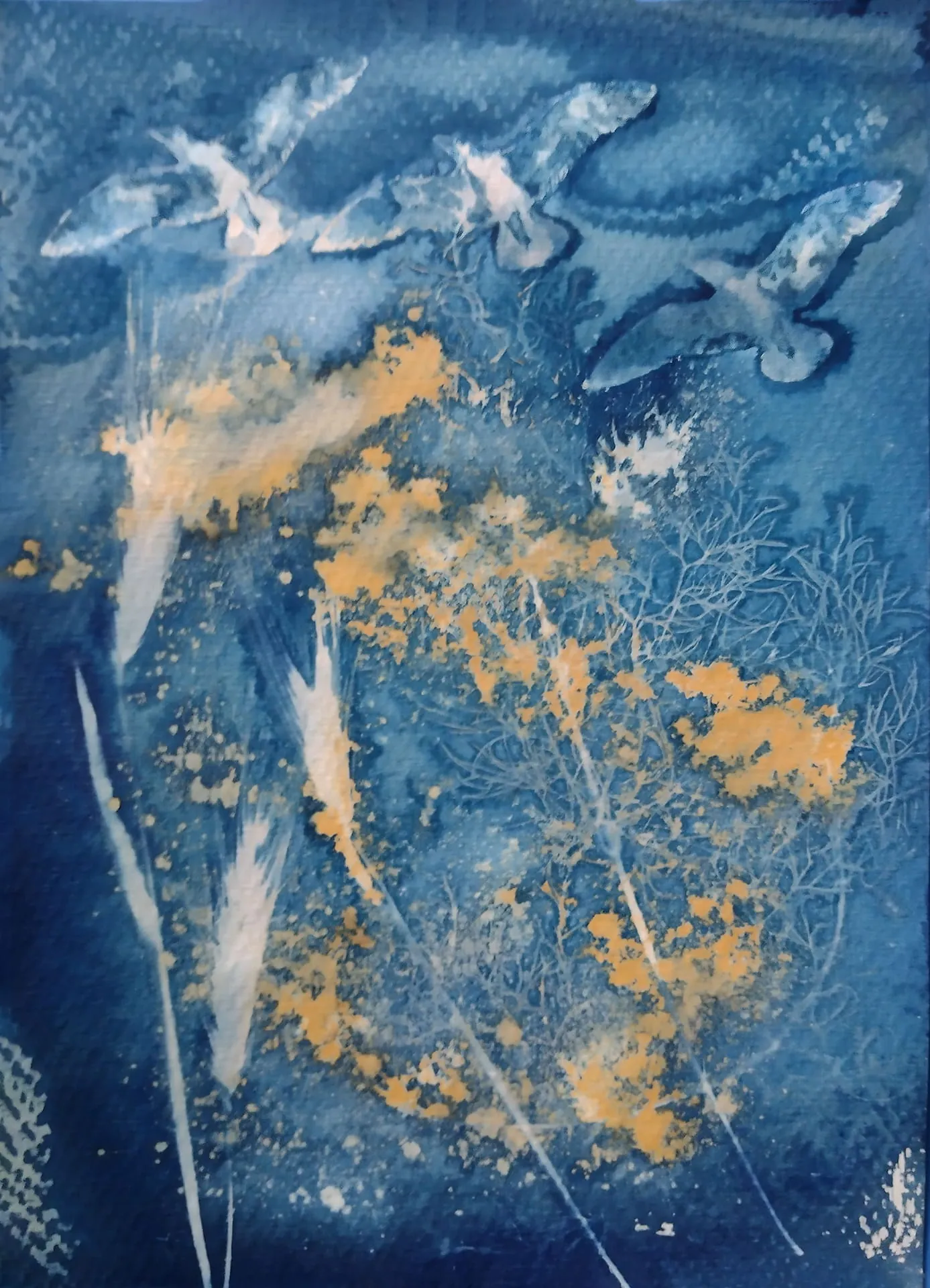 Experimental cyanotype with flying birds, delicate grasses and yellow colour accents on a blue ground.