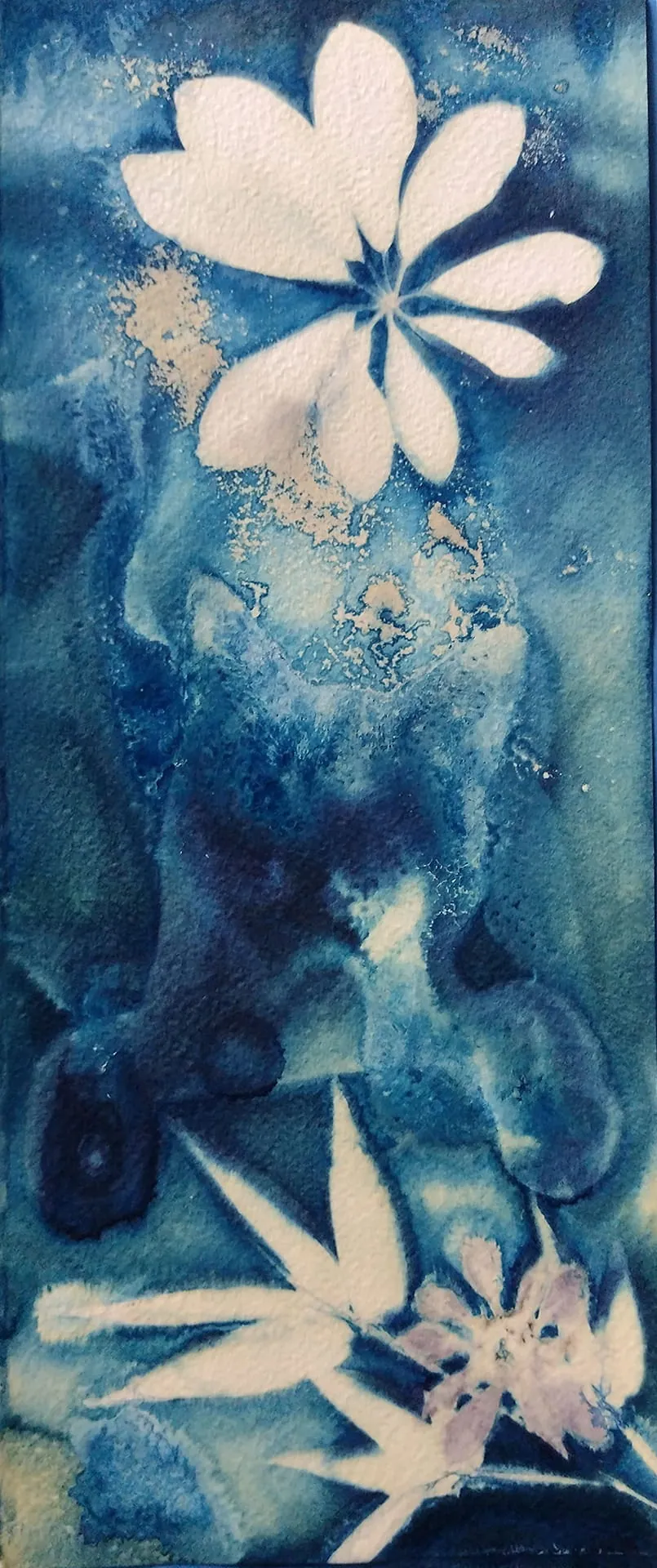 Cyanotype in the search for the deep blue cat 